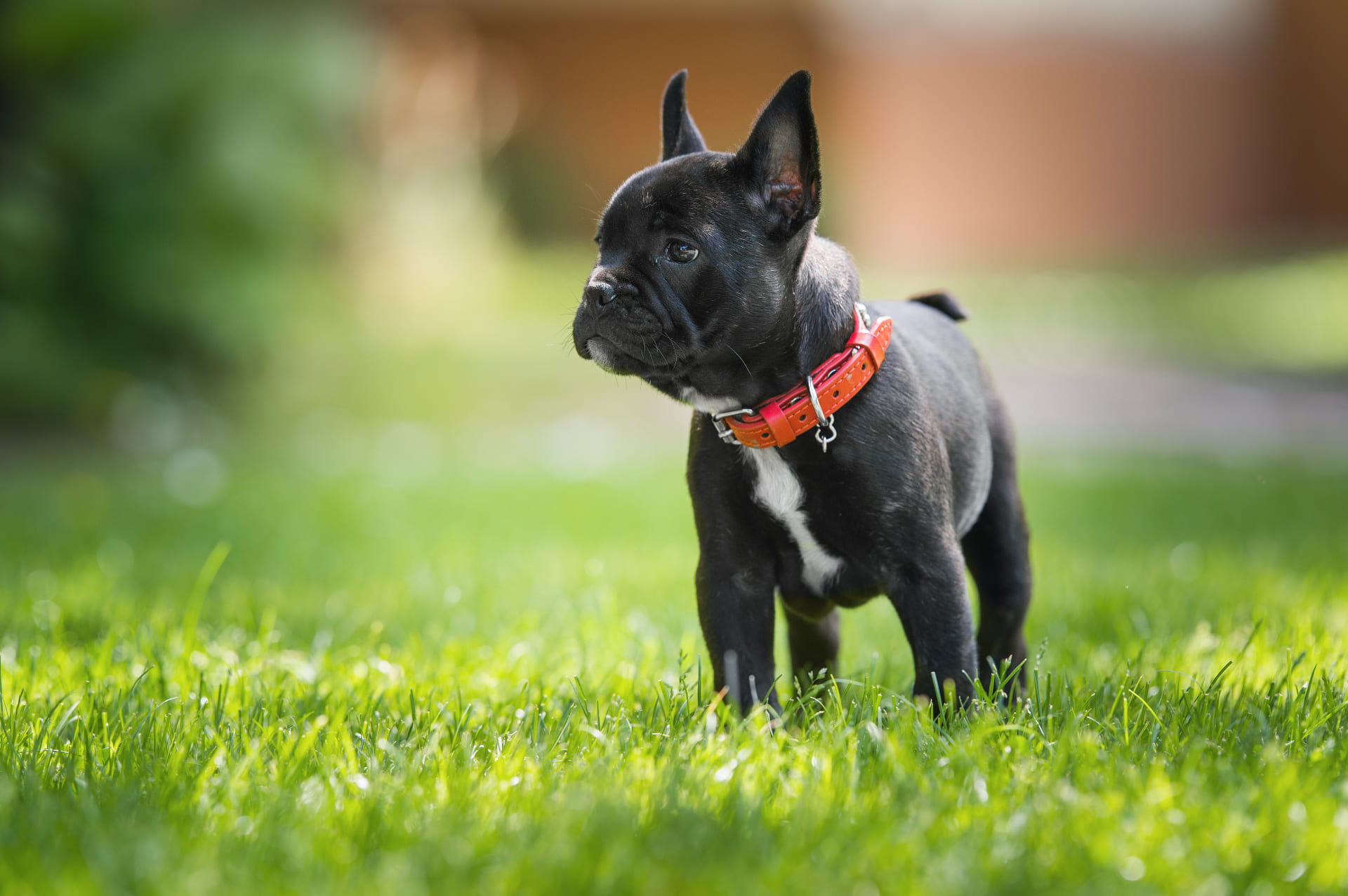 AdobeStock_112615702