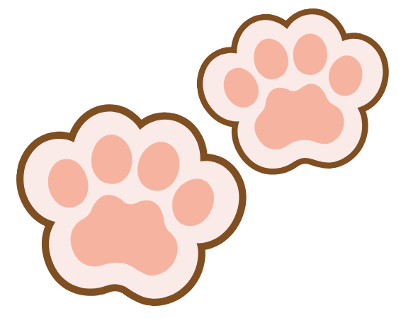 それぞれ異なる特徴を持つ子犬を販売中