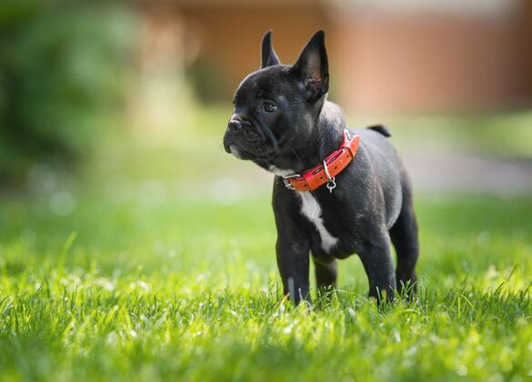 AdobeStock_112615702
